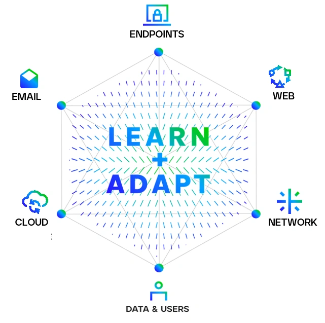 Learn + Adapt